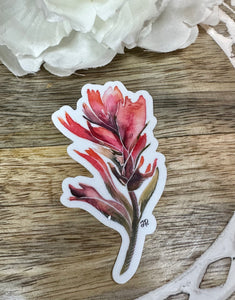 Watercolor Indian Paintbrush Sticker